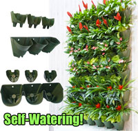 vertical watering self planter garden wall diy living kits gardening easy kit hello say space outdoor herb plant hanging stand