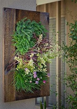 Bright Green Vertical Garden Kit on Wall