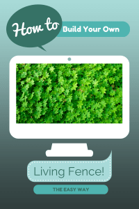 How to Build a Living Fence