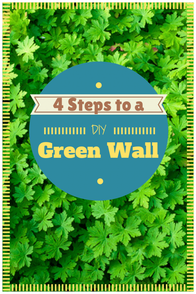 DIY Green Wall Made Easy in 4 Simple Steps