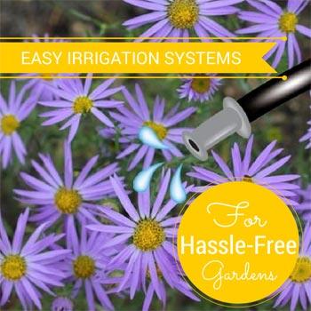 Easy Irrigation Systems
