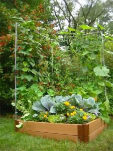 Vege Vertical Garden Kit