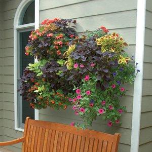 wall planter set with flowers