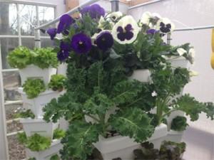 Vertical Hydroponic Garden Kit with Flowers