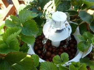 Hydroponics Automatic Watering System