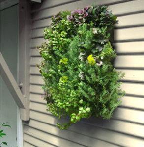 Algreen Wall Planting System