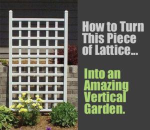DIY Lattice Planter: How to Turn a Piece of Lattice into an Amazing Vertical Garden