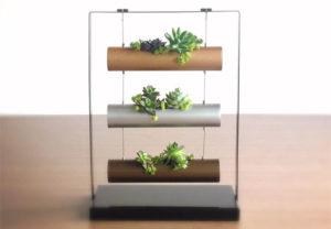 Mini Vertical Garden for Succulents, Cactus and Gifts