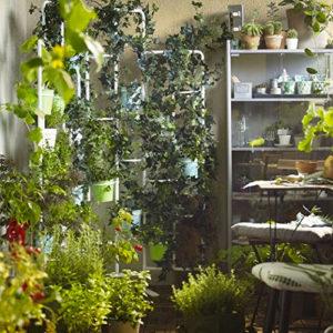 Vertical Plant Stand Being Used to Create a Living Wall Indoors
