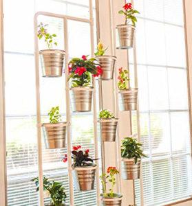 Vertical Plant Stand with Potted Plants in Front of Window