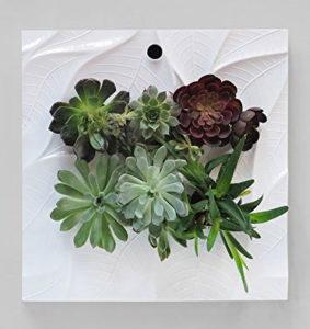 Indoor Living Wall Planter with Succulents