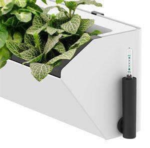 Self-Watering System of the Bloomwall Planter