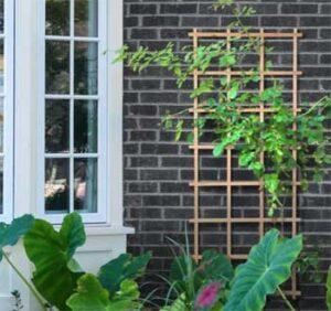 Cedar Grill Trellis for Making a DIIY Vertical Garden