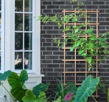 Cedar Grill Trellis for Making a DIIY Vertical Garden