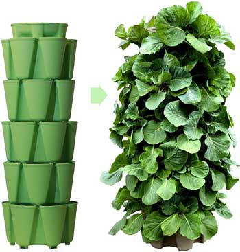 Greenstalk Garden Planter for Growing Plants, Herbs and Vegetables Vertically