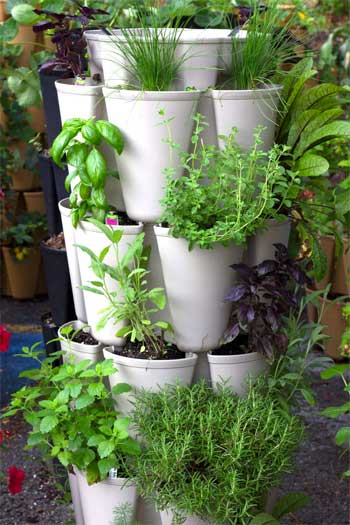 GreenStalk Vertical Garden with Herbs