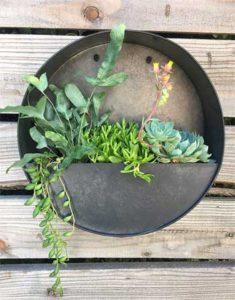 Round Succulent Wall Planter Made of Rustic Metal