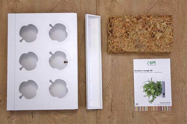Vertical Wall Planter Kit for Growing Plants Indoors on Your Wall
