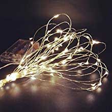 Battery Operated String Lights for Vertical Gardens