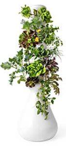36-Plant Lettuce Grow Vertical Garden