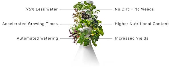 Time Saving, Cost Saving and Water Saving Advantages of Hydroponic Gardening at Home