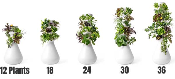 5 Sizes of Lettuce Grow Planters from 12 Plants to 36 Plants