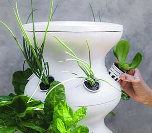 Easy Hydroponic Gardening Kit