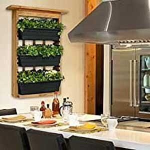 Vertical Garden Planter on Wall in Kitchen for Growing Herbs