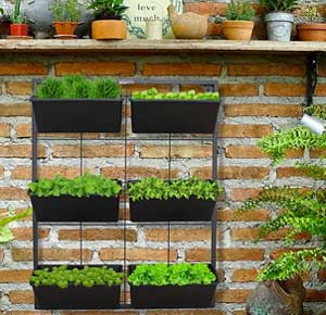Wall Mounted Hanging Planter with Black Metal Frame and 6 Plant Baskets
