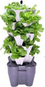 Easy At-Home Hydroponic Lettuce Garden Growing Kit for Home Gardeners