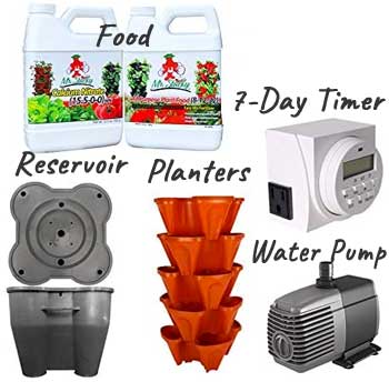 Hydroponic Lettuce Garden Kit with Planters, Water Reservoir, Pump, Timer and Food