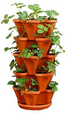 5-Tier Mr Stacky Planter with Bottom Drainage Saucer
