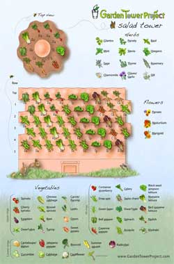 Salad Tower Layout Plan PDF - Where to Plant Vegetables and Herbs in Your Vertical Garden to Make a Home-Grown Salad